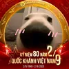 ngocngannekkkk