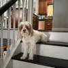 loving.toby