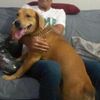 guiliverjose.greg