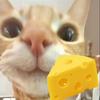 cheesy kat