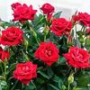 user31023669757014