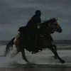 هہٰٖ۫ۛمہٰٖ۫ۛﺈَﭑِمہٰٖ۫ۛ '…*