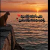 user5983158704501