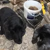 gary.slack6