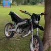 punamustagilera0