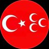 66_asena