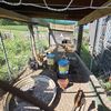 backyardbeginners