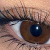zahraa.eljamal6