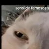 jdhdhhdjdje