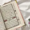 um.hassan6253