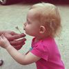 addihardy67
