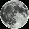 safin_harki11