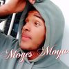 moges.moya