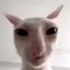ywi_04