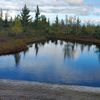 elena_2024_2012