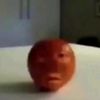 fnugle