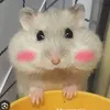 changbietgicahhi0