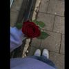 gana85428