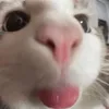 nanaay678