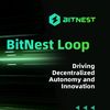 BITNEST OFFICIAL