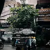 bii.vn.ng