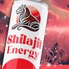 shilajeet.energy