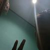 gungxynzzz