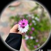 user6885469086144
