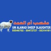 um.alamad.sheep.s