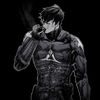 _nightwing1