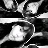 lovech0oco_