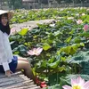 anh.nhi.lo.lo