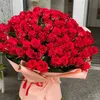 user6542015461561