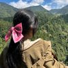 elysia_disti