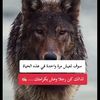 mohamedlakabs