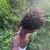 maddifab