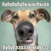 ambrobene_bibibom