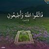 user5361985181614