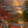 gianina.florea0