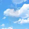 niewiem56953664