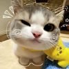 fathanalmaisan933
