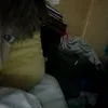 denis.klanjcic