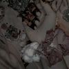 zaraali4567