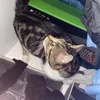 olliethegingr