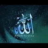 Quran Translations With Urdu
