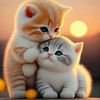 user856190381830