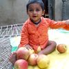 siddiqui3498