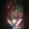 lili.fbin