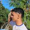 dolfinho_