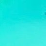 neym979